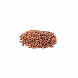 linzen bruin bio 5kg – biologische bruine linzen grootverpakking