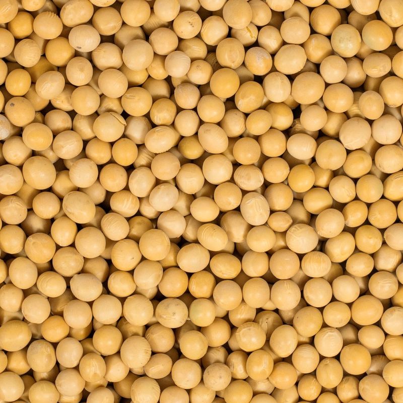 Baal soyabonen 10kg Brandwijk