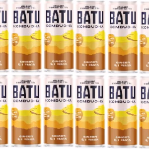 Batu kombucha doos 12 gember citroen 250ml