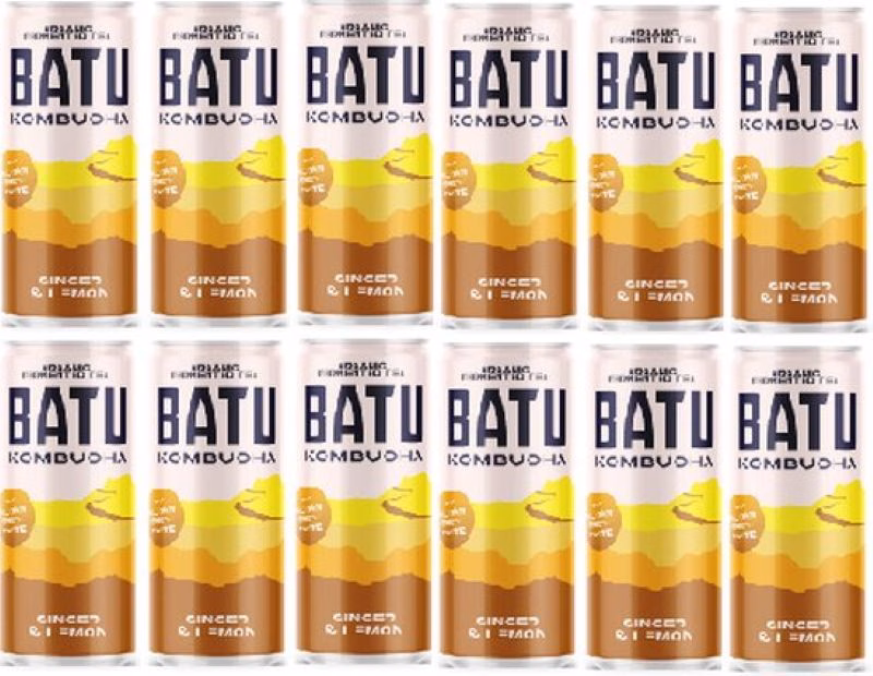 Batu kombucha doos 12 gember citroen 250ml