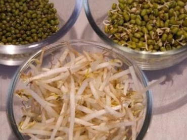 Zelf taugé maken van katjang idjoebonen | Stap-voor-stap recept
